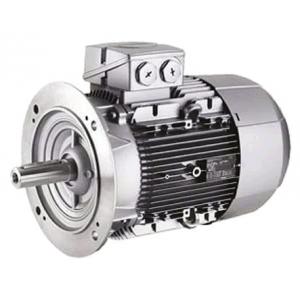 Siemens 交流三相感應(yīng)電動(dòng)機(jī) 1LE1系列