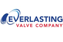 美國Everlasting閥門 質(zhì)量，耐用性和長壽的代名詞